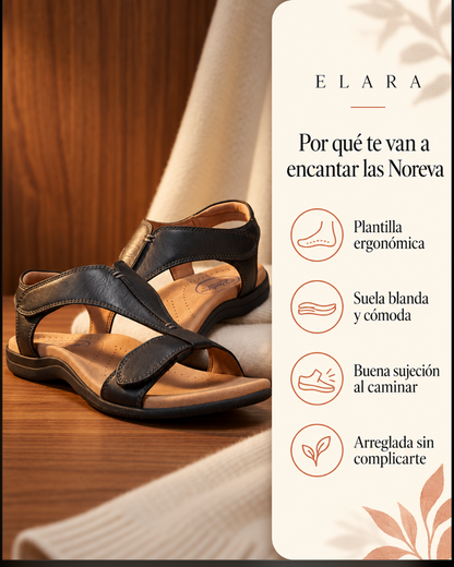 Noreva: por qué te van a encantar